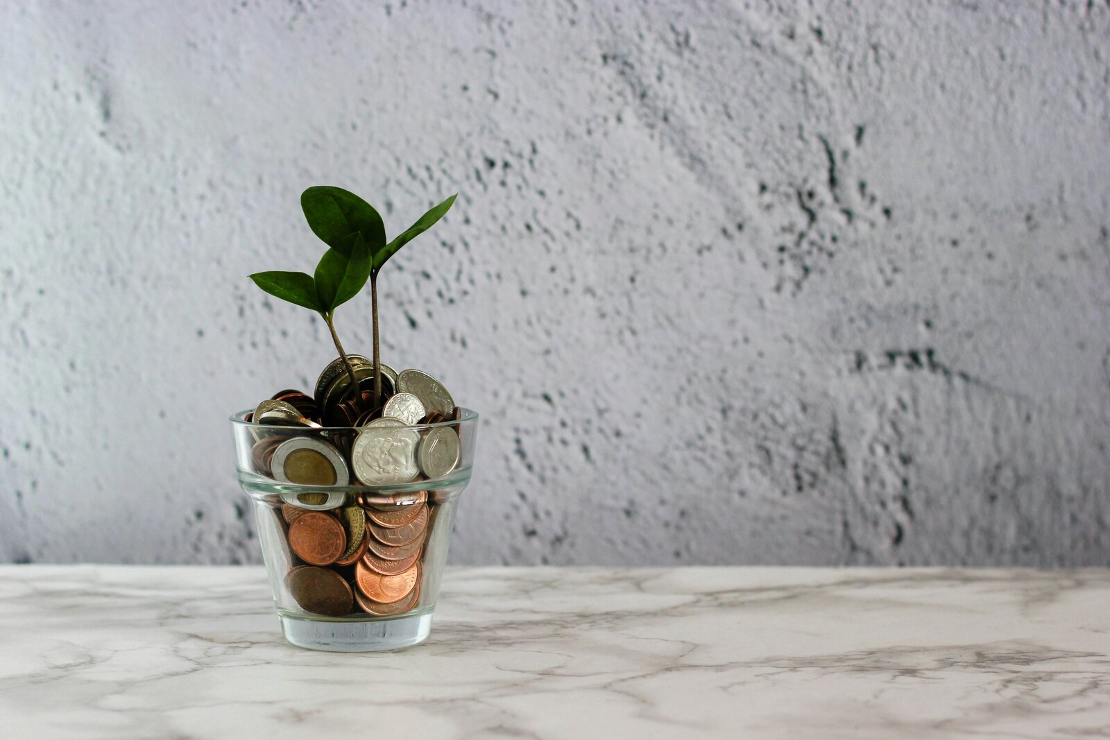 A glass jar of coins with a small green seedling growing out of the top.